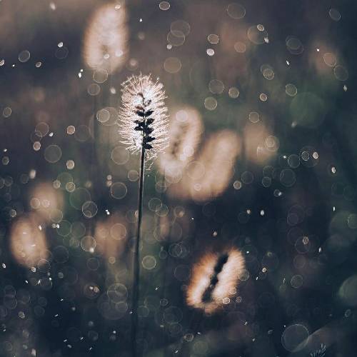 متاسفانه اینو یاد گرفتم نخندم حتی بعد اینکه فاز گرفتم با یه جک